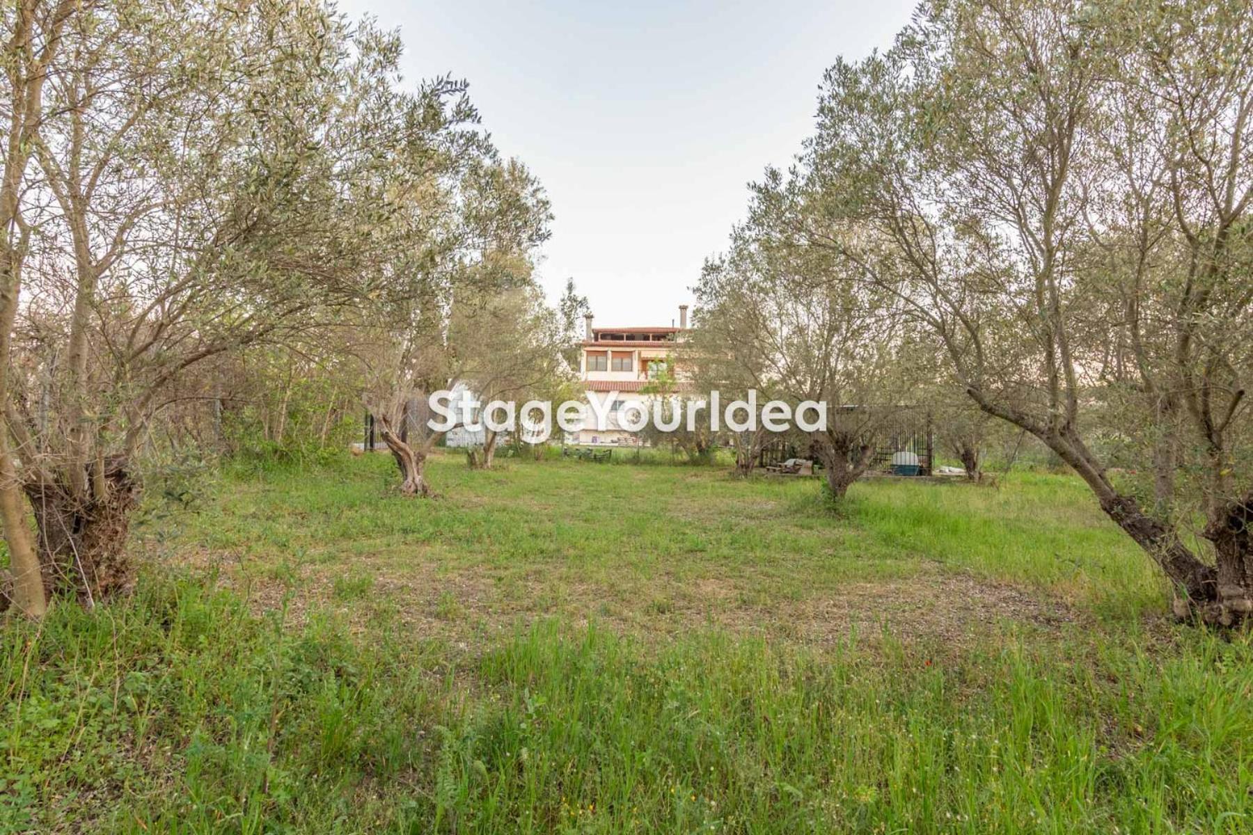 Luxury Appartment, Only 7 Minutes From Thessaloniki Airport And 15 Minutes From City Center ,For 8-23 People Also For Gatherings And Parties Neon Rysion Eksteriør billede